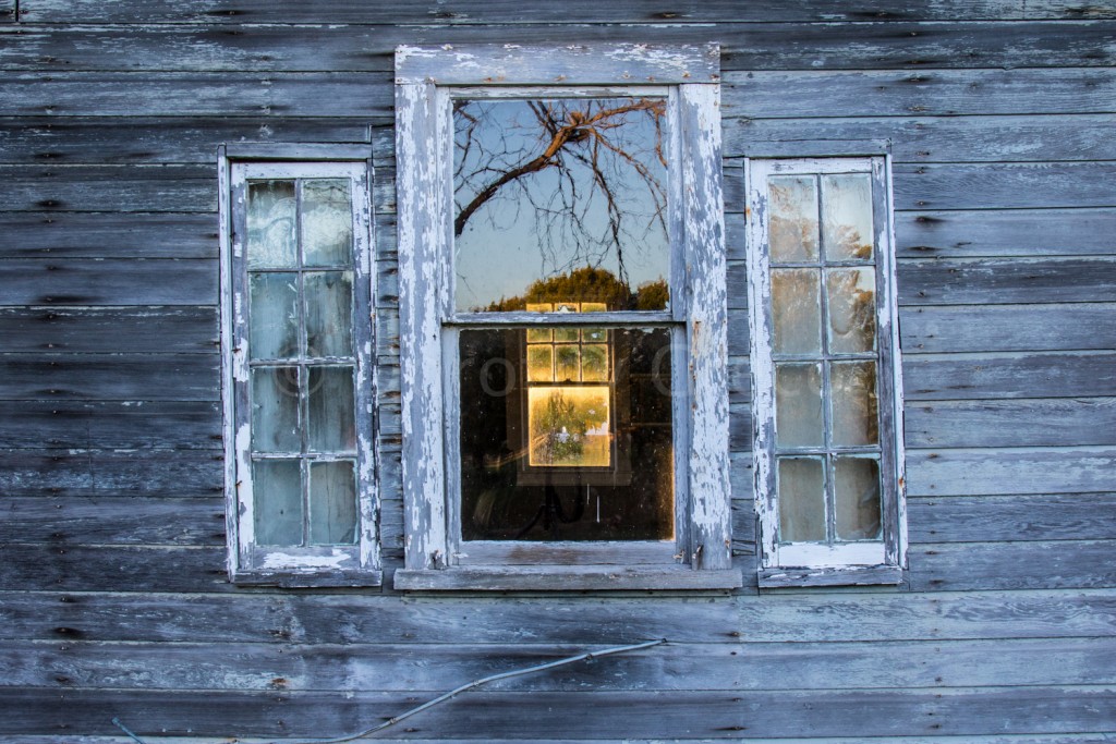 Farmstand-Oct-1015-024-©DGreco-2