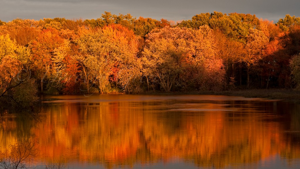 NashuaRiver-Oct-1011-106-©DGreco-Edit