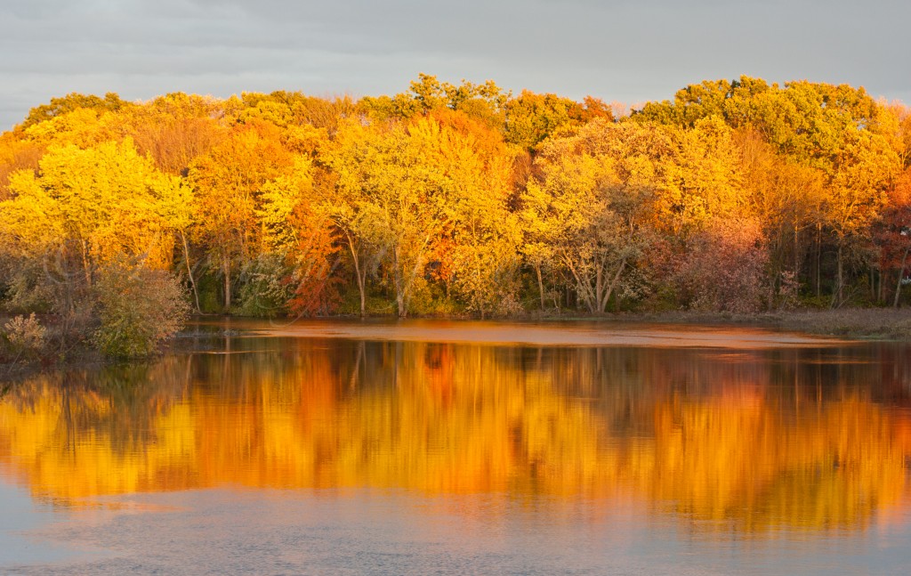 Sudbury River Watershed