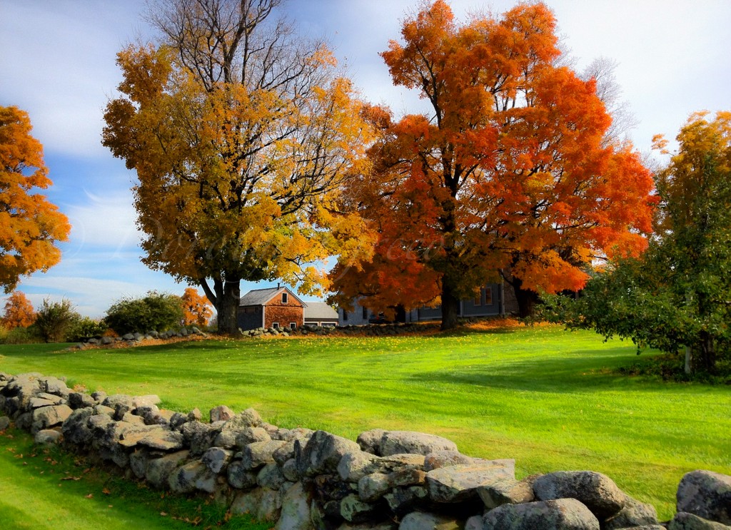 Fall, Harvard, MA