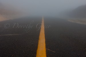 Westport, road fog