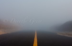 Westport, road fog