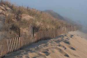 Westport, sand dunes