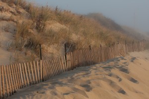 Westport, sand dunes