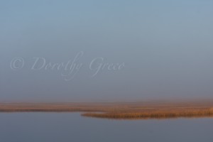 Westport,MA marsh