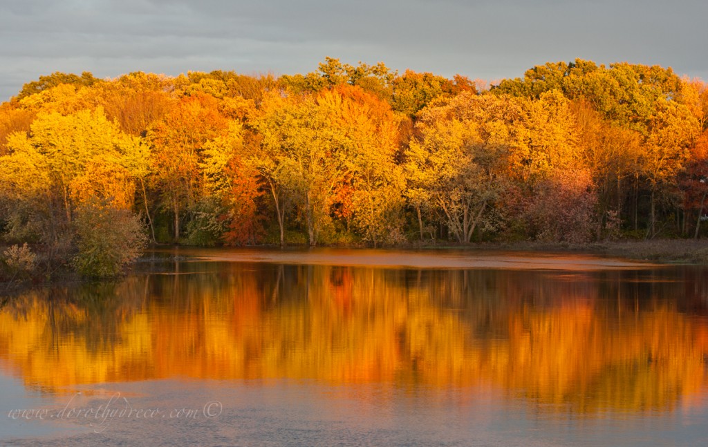 NashuaRiver-Oct-1011-119-©DGreco